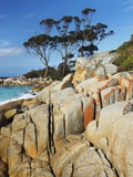 Rocky Coastline at Bay of Fires Fotografie-Druck von Frank Krahmer