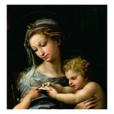 Detail of The Virgin of the Rose Reproduction procédé giclée par Raphael 