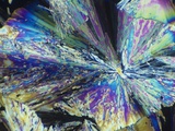Citric Acid Crystals in Polarized Light Lámina fotográfica Citric Acid Crystals in Polarized Light Lámina fotográfica