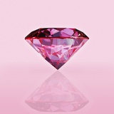 Pink Jewel Photographic Print by David Arky