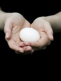 Handful of Egg Photographie par Elisa Lazo De Valdez