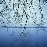 Tree Branch over Lake Photographic Print by Micha Pawlitzki