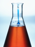 Liquid in Erlenmeyer Flask Lámina fotográfica Liquid in Erlenmeyer Flask Lámina fotográfica
