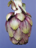 Artichoke Fotografisk trykk av Heide Benser Artichoke Fotografisk trykk av Heide Benser