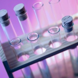 Test Tubes Photographic Print