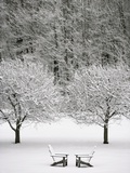 Snow covered landscape Fotografisk trykk av Scott Barrow