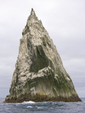 Imperial Shags Nesting on Rocky Pyramid of Shag Rocks Photographic Print by John Eastcott & Yva Momatiuk