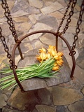 High angle view of a bunch of yellow flowers on the swing Photographic Print by Don Freeman