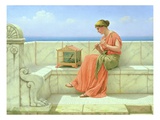 Sweet Sounds Photographie par John William Godward