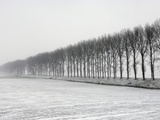 Dike with Cottonwoods in Winter Photographic Print by Guenter Rossenbach
