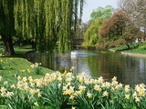Regents park london Photographic Print