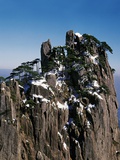 Pine Trees at Top of Yellow Mountains in Spring Photographic Print by Wong Adam