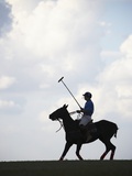 Polo player riding polo pony Photographic Print by Lucas Lenci