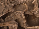 Velociraptor Claw in Belly of a Protoceratops Photographic Print by Louie Psihoyos