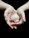 Handful of Garlic Photographic Print by Elisa Lazo De Valdez