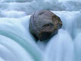 Boulder in Sunwapta Falls Photographic Print by Mike Grandmaison