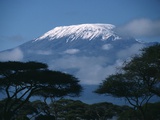 Kilimanjaro and Acacia Trees Photographie