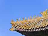 Traditional Decorative Roof Tiles in the Forbidden City Photographic Print by Keren Su