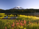 Mount Rainier National Park Photographic Print by Craig Tuttle
