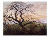 The Tree of Crows reproduction procédé giclée par Caspar David Friedrich
