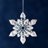 Christmas Ornament Photographic Print by Sean Justice