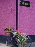Bicycle and Flowers Outside Antique Store in Carrick Photographie par Richard Cummins