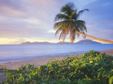 Pinney's Beach, Island of Nevis Photographic Print by George H.H. Huey