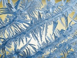 Frost on Glass Fotografie-Druck von John Gillmoure