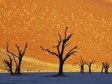 Dead Trees in Dead Vlei Fotografie-Druck von Frank Krahmer
