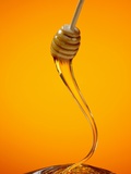 Honey Dipper Photographic Print by Lew Robertson