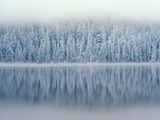 Lost Lake and Snow-Covered Douglas Firs Lámina fotográfica por Steve Terrill Lost Lake and Snow-Covered Douglas Firs Lámina fotográfica por Steve Terrill