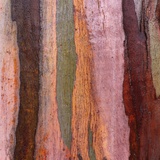 Sedimentary Strata Photographic Print by Micha Pawlitzki