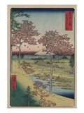 Sunset Hill, Meguro in the Eastern Capital reproduction procédé giclée par Ando Hiroshige
