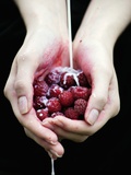 Handful of Raspberries Photographic Print by Elisa Lazo De Valdez