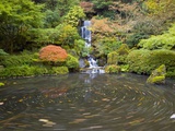 Swirling Pond Below Waterfall Photographic Print by Craig Tuttle