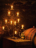 Wine Cellar in Bavarian Castle Photographie par Bruno Ehrs