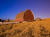 Wheat Field and Barn at Sunrise Photographic Print by Craig Tuttle