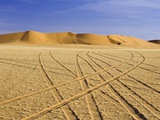 Tire Tracks in Desert Photographic Print by Frank Lukasseck