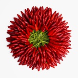 Piments Photographie
