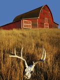 Barn in Meadow Photographic Print