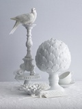 Dove with White Porcelain Photographic Print by David Prince