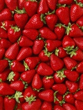 Fraises Photographie par Ed Young