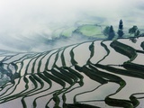 Morning Fog Above Rice Fields Photographic Print by Frank Krahmer