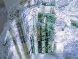 Actinolite Photographic Print by Walter Geiersperger