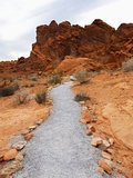 Rural Trail Through Desert Photographic Print by Beathan 