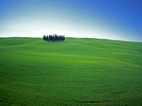 Coppice of Trees on Green Fields in Tuscany Fotoprint van José Fuste Raga Coppice of Trees on Green Fields in Tuscany Fotoprint van José Fuste Raga