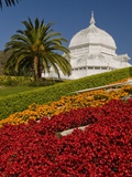 Golden Gate Park Conservatory Photographic Print by Richard Nowitz