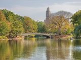 A Bridge in Central Park Fotografie-Druck