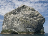 Northern gannet nesting colony atop Stac Lee Photographic Print by Kevin Schafer