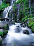 Waterfall in Forest Photographic Print by Koichi Murata